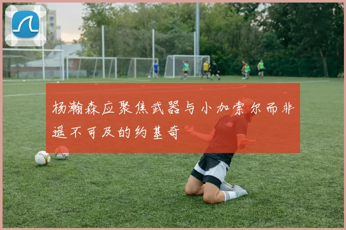 杨瀚森应聚焦武器与小加索尔而非遥不可及的约基奇