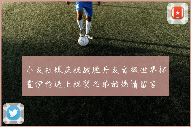 小麦社媒庆祝战胜丹麦晋级世界杯霍伊伦送上祝贺兄弟的热情留言