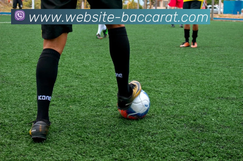 百家乐网站平台生态图