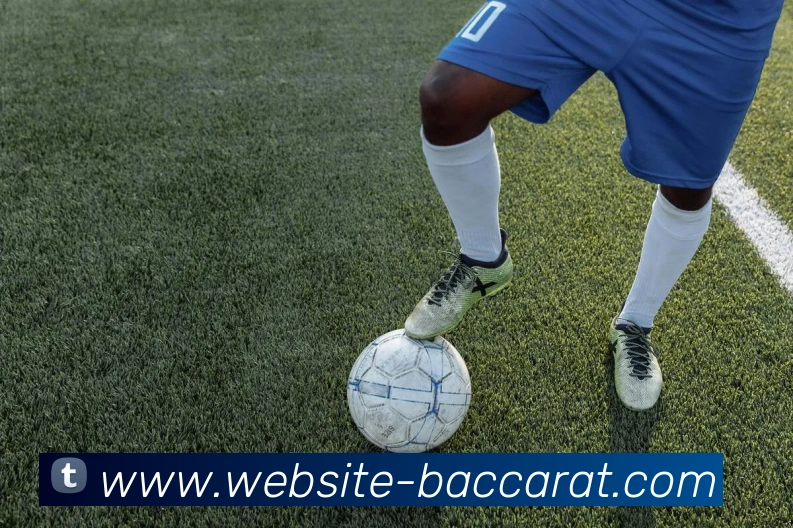 百家乐网站全站App