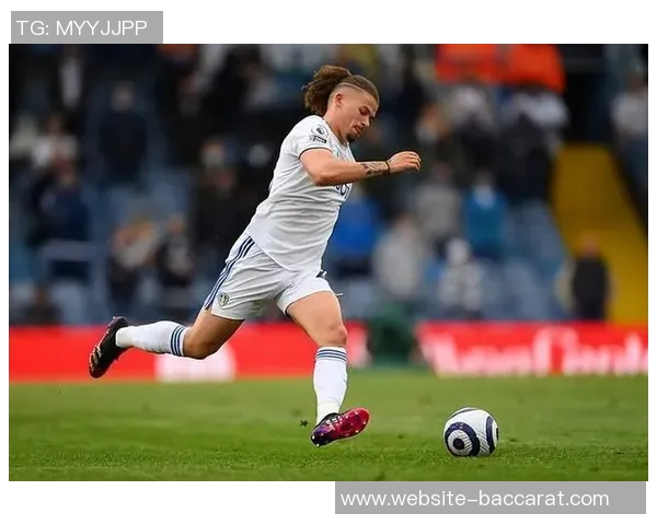 国米计划引进姆拉契奇并租借半年转会费预计在300万至400万之间