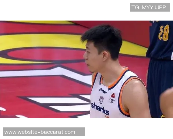 卢伟谈张镇麟成长之路强调合练时间是关键今年目标直指季后赛